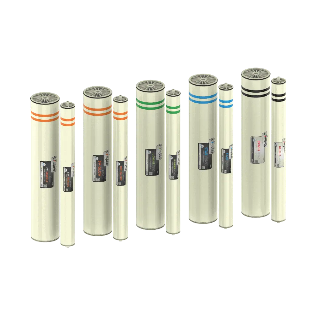 all membrane.127.webp